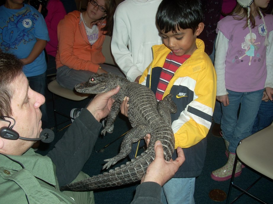 a program featuring lizards and alligators